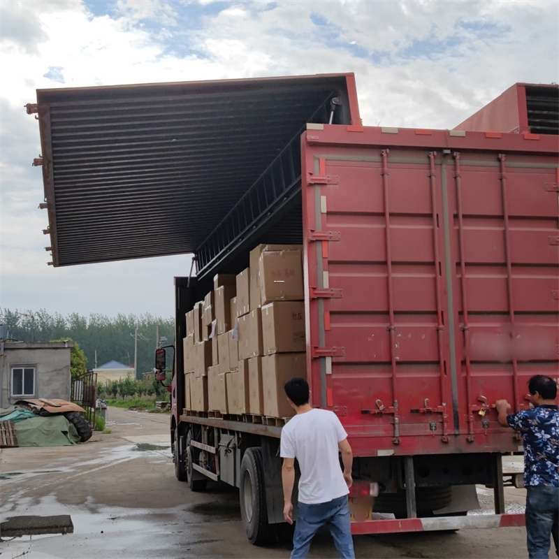 南朗镇扎囊县：物流专线的高效货运之旅
